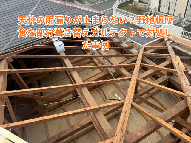 春日部市｜天井の雨漏りが止まらない？野地板腐食を部分葺き替えガルテクトで対処した事例